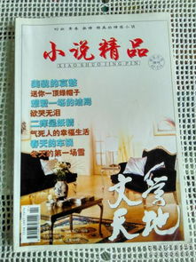 文學天地 小說精品 2004年第12期 美貌的哀愁