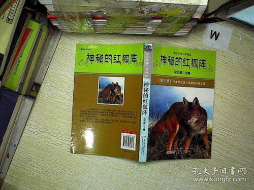 中外動物小說精品 神秘的紅狐陣 沈石溪 安徽少年兒童出版社