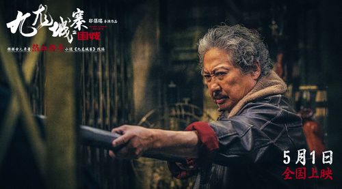 九龍城寨之圍城 久違了,這么帶勁的香港功夫片