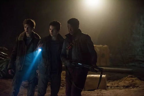 2月1日 星期四 影訊點(diǎn)擊關(guān)注