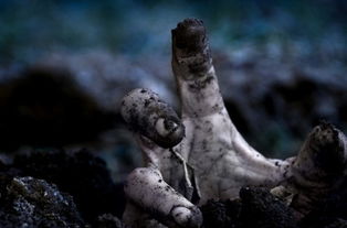 喪尸圍城3 將啟用新主角 游戲故事背景介紹